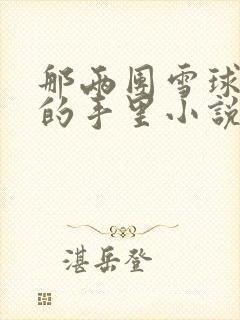 那两团雪球在他的手里小说