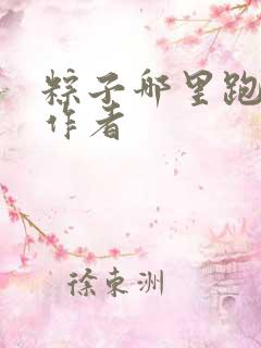 粽子哪里跑小说作者