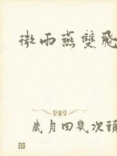 微雨燕双飞小说