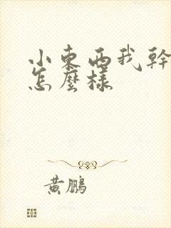 小东西我干的你怎么样