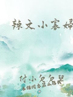 辣文小寡妇