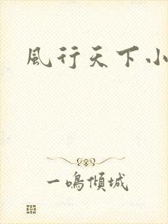 风行天下小说