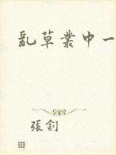 乱草丛中一杆枪