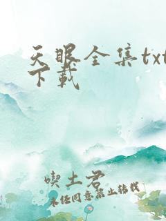 天眼全集txt下载