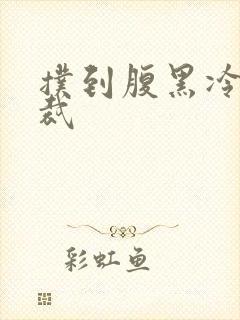 扑到腹黑冷面总裁