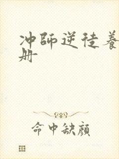 冲师逆徒养成手册