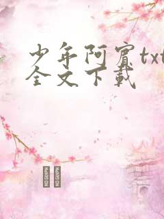 少年阿宾txt全文下载