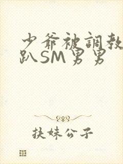 少爷被调教室跪趴SM男男