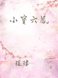 小宝六凤