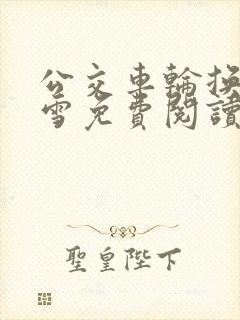 公交车轮换C程雪免费阅读