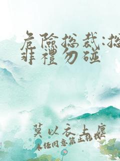 危险总裁:总裁非礼勿碰