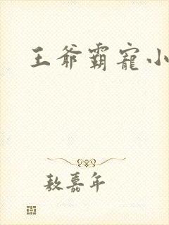 王爷霸宠小甜妻