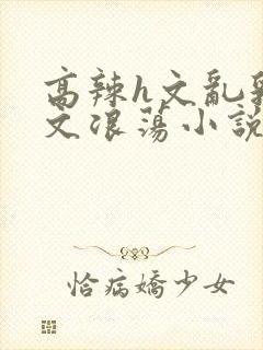 高辣h文乱乳h文浪荡小说