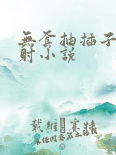 无套抽插子宫内射小说