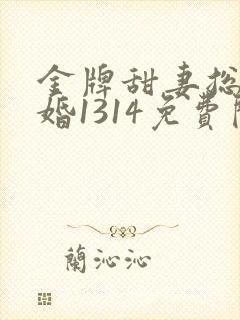 金牌甜妻总裁宠婚1314免费阅读