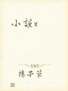 小说x