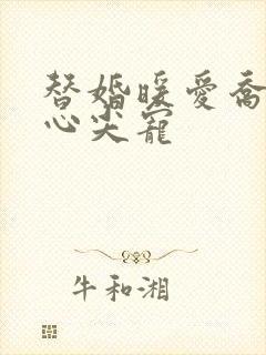 替婚暖爱乔少的心尖宠