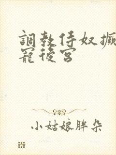 调教侍奴撅臀男宠后宫