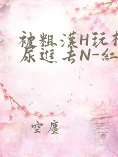 被粗汉H玩松了尿进去N-红-Q