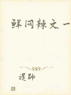 鲜网辣文一对一