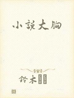 小说大胸