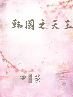 韩国之天王