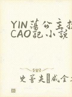 YIN荡公主挨CAO记小说