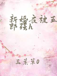 新婚夜被五个伴郎强h