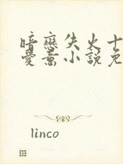 暗恋失火十年的爱意小说免费阅读