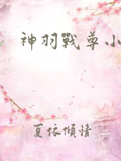 神羽战尊小说