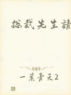 总裁先生请低调