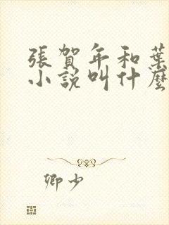 张贺年和叶繁姿小说叫什么名字