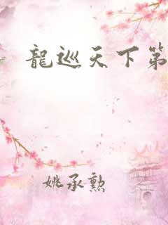 龙巡天下第四部