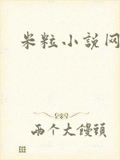 米粒小说网
