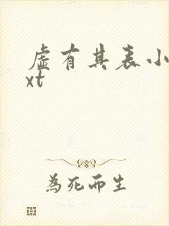 虚有其表小说txt