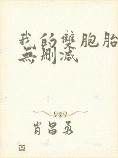 我的双胞胎老婆无删减