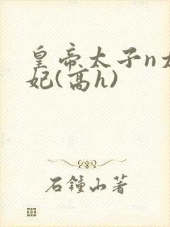 皇帝太子n太子妃(高h)