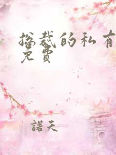 总裁的私有宝贝免费