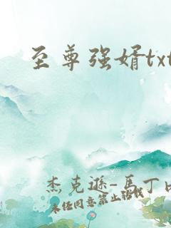 至尊强婿txt