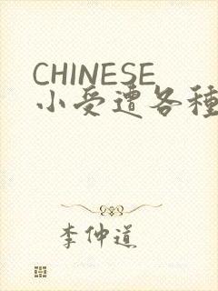 CHINESE小受遭各种打桩