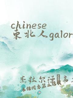 chinese东北人galore