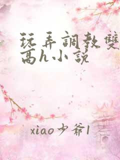 玩弄调教双胞胎高h小说