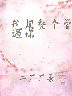 我用整个曾经爱过你