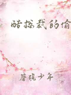 酷总裁的偷孕妻