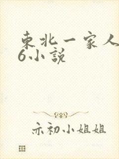 东北一家人1一6小说