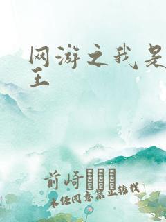 网游之我是海贼王