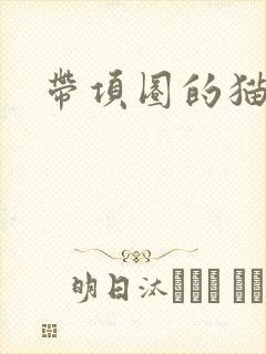 带项圈的猫耳娘