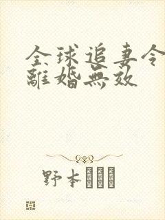 全球追妻令老婆离婚无效