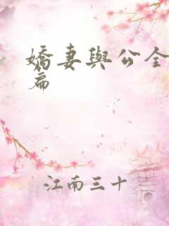 娇妻与公全集长篇