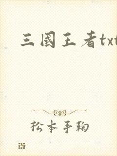 三国王者txt
